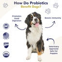 probiotics-for-dogs-digestive-health-chi-3.jpg