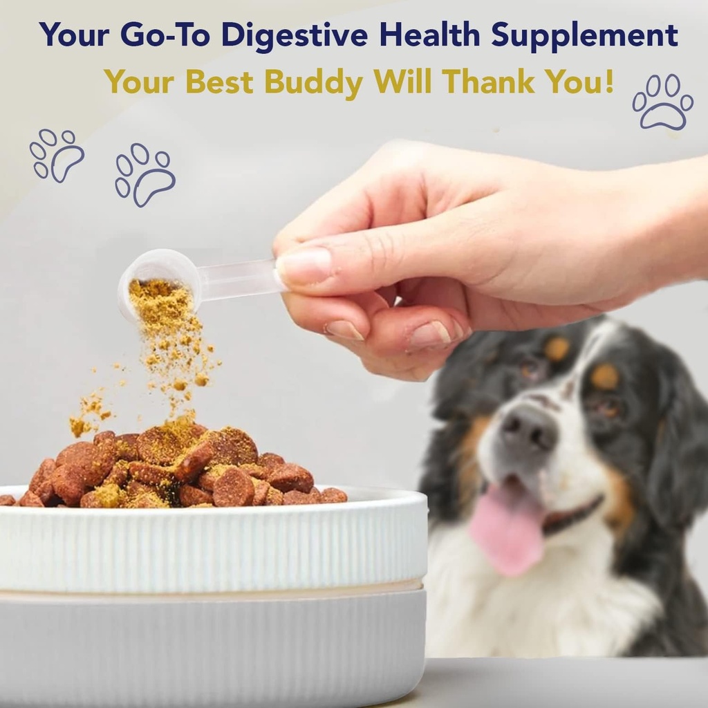 probiotics-for-dogs-digestive-health-chi-5.jpg