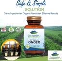 pure-mountain-botanicals-ginger-capsules-2.jpg