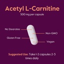 bestvite-acetyl-l-carnitine-500mg-240-ve-5.jpg