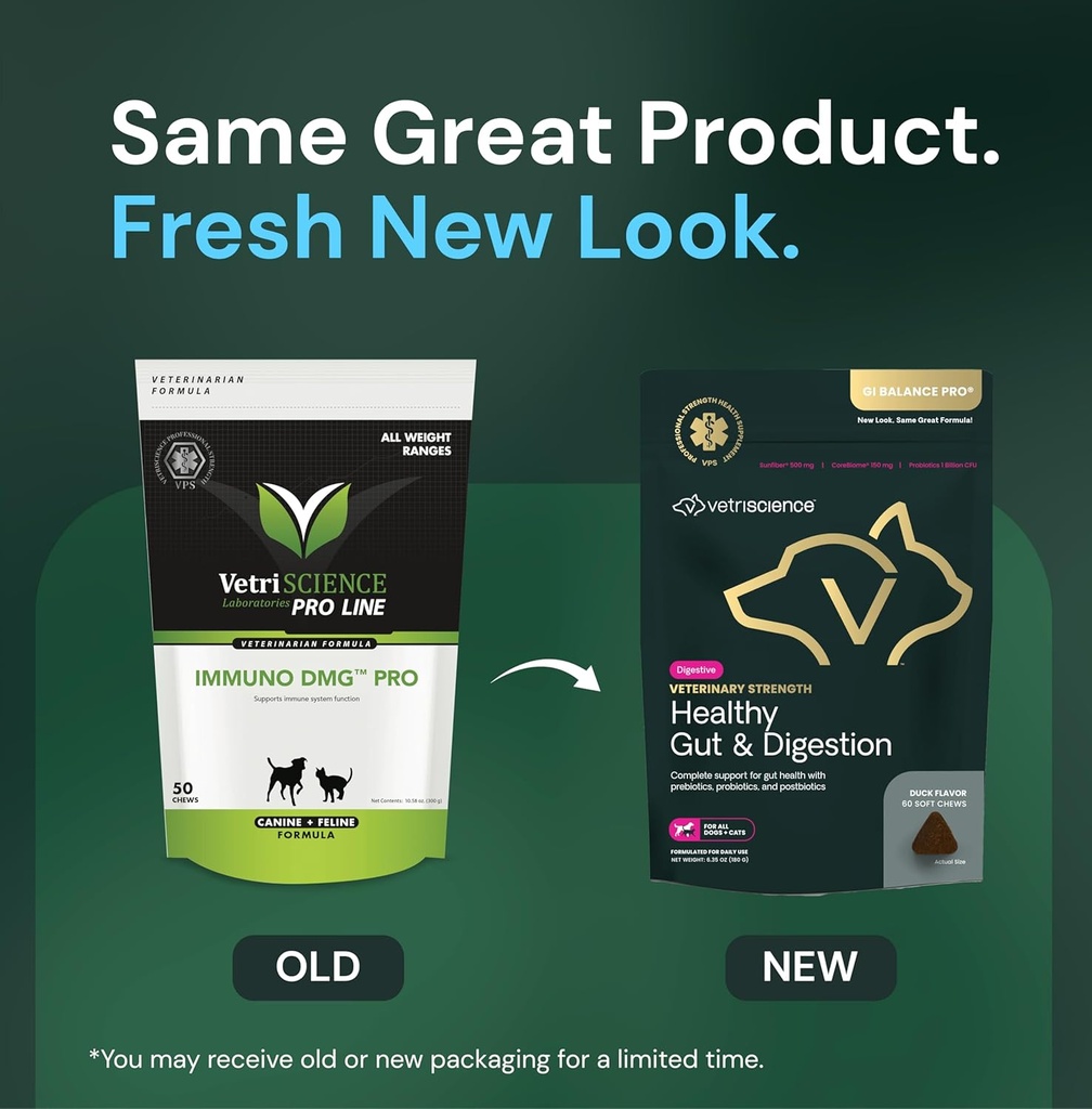vetriscience-veterinary-strength-healthy-2.jpg