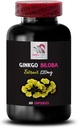 ginkgo-biloba-antioxidant-properties---g-2.jpg