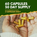 neem-capsule-azadirachta-indica-equivale-4.jpg