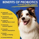 probiotics-for-dogs---dog-probiotics-for-3.jpg