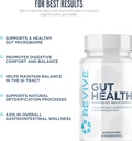 revive-md-gut-health-supplements-for-men-4.jpg