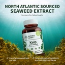 natural-nutra-kelp-iodine-thyroid-suppor-5.jpg