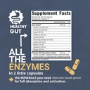 healthy-gut-holozyme-max-strength-digest-2.jpg