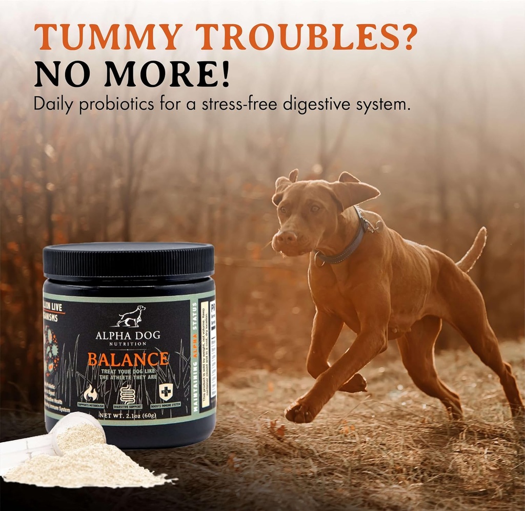 balance-probiotic-blend-for-dogs-by-alph-3.jpg