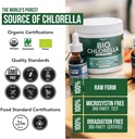 organic-chlorella-powder-raw-sun-grown-n-3.jpg