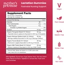 mothers-promise-lactation-supplement-gum-2.jpg