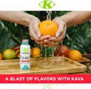 k-tropix-kava-shot-tropical-blast---500m-4.jpg