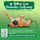 vital-planet---flora-dog-probiotic-powde-5.jpg