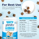 vetnique-labs-glandex-anal-gland-support-4.jpg