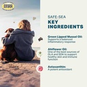 protect-safe-sea-5.jpg