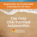nutrex-hawaii-bioastin-hawaiian-astaxant-6.jpg