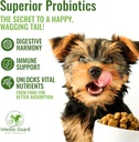 powder-probiotics-for-dogs-cats-bowel-di-4.jpg