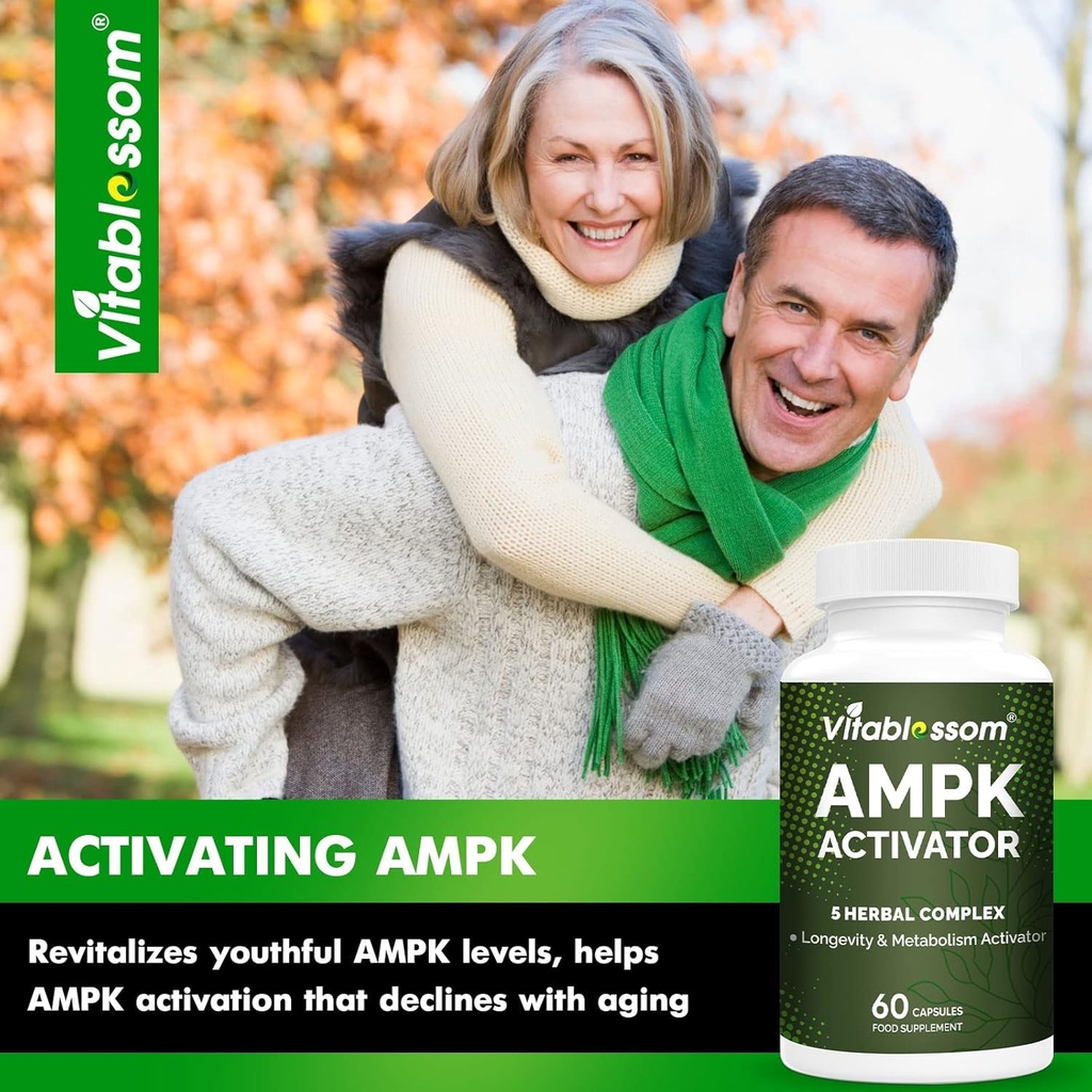 ampk-activator-supplement-5-in-1-jiaogul-3.jpg