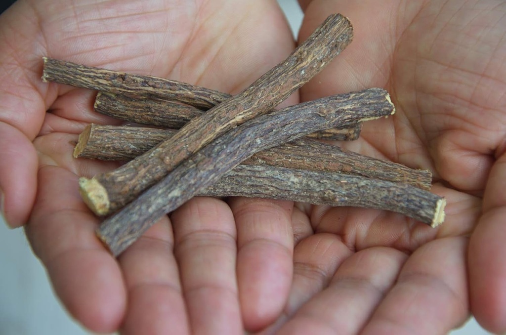health-embassy-licorice-root-glycyrrhiza-6.jpg
