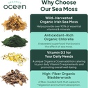 organics-ocean-wild-sea-moss-capsules-an-6.jpg