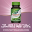 natures-way-ivy-extract-from-english-ivy-4.jpg