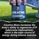 swole-af-creatine-mono-pre-post-workout--3.jpg