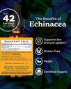 herb-pharm-certified-organic-echinacea-r-3.jpg