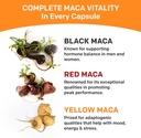 primemd-19-in-1-peruvian-maca-root-capsu-3.jpg