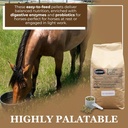 equerrys-economy-equine-supplement---hor-3.jpg