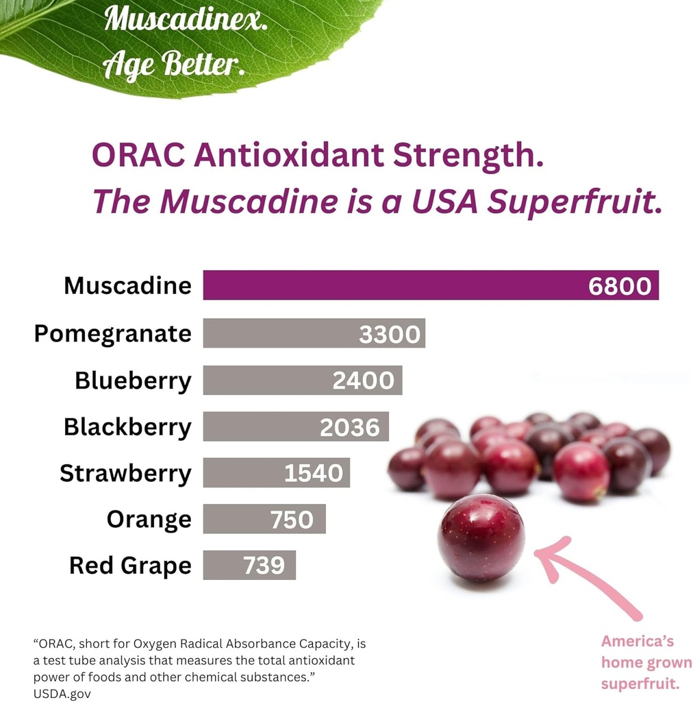 usa-muscadine-quercetin-ellagic-acid-res-3.jpg