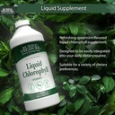 buried-treasure-liquid-chlorophyll-100-m-3.jpg