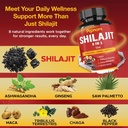shilajit-himalayan-capsules---3-month-su-4.jpg