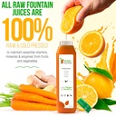 3-day-juice-cleanse-by-raw-fountain-all--4.jpg