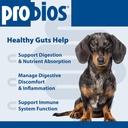 probios-for-dogs-soft-chews-probiotics-f-3.jpg