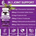 glucosamine-chondroitin-gummies-with-msm-3.jpg