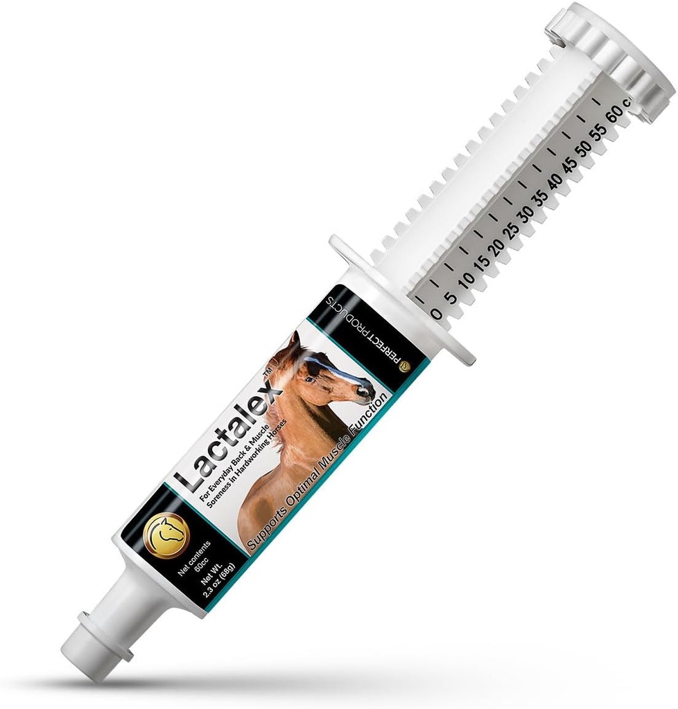 lactalex-equine-muscle-function-and-lact-6.jpg