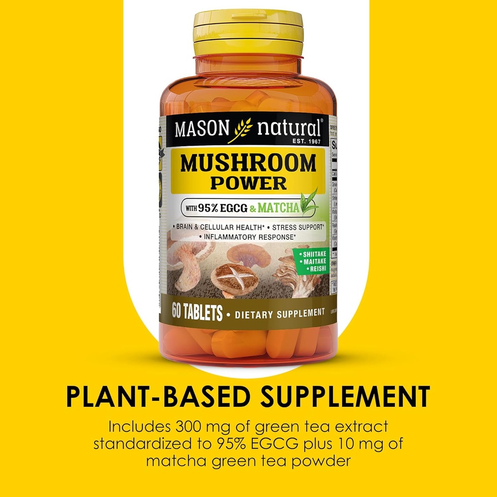 mason-natural-mushroom-power-with-95-egc-4.jpg