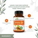 papaya-leaf-extract-capsules-10x-strengt-6.jpg