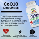coq10-ubiquinone---30-capsules---ultra-b-6.jpg