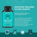 wellpath-zen-stress-relief-supplement-mo-5.jpg