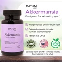 akkermansia-muciniphila-probiotic-prebio-2.jpg