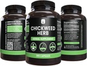 pure-original-ingredients-chickweed-herb-4.jpg