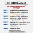 physivantage-supercharged-collagen-pepti-6.jpg