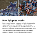 h-pylori-treatment-probiotic-probiotics--2.jpg