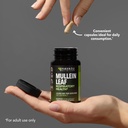 mullein-leaf-capsules-for-respiratory-he-6.jpg