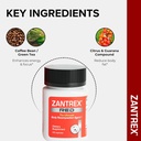 zantrex-red-body-recomposition-active-en-4.jpg