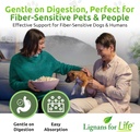 lignans-for-life-hmr-lignans-for-dogs-i--4.jpg