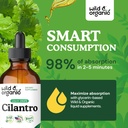 wild-organic-cilantro-tincture---herbal--4.jpg