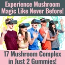 shizam-17-mushroom-complex-gummies-for-a-2.jpg