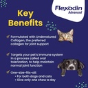vetoquinol-flexadin-advanced-dog-hip-and-2.jpg