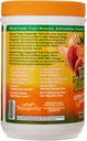youngevity-beyond-tangy-tangerine-20-cit-3.jpg